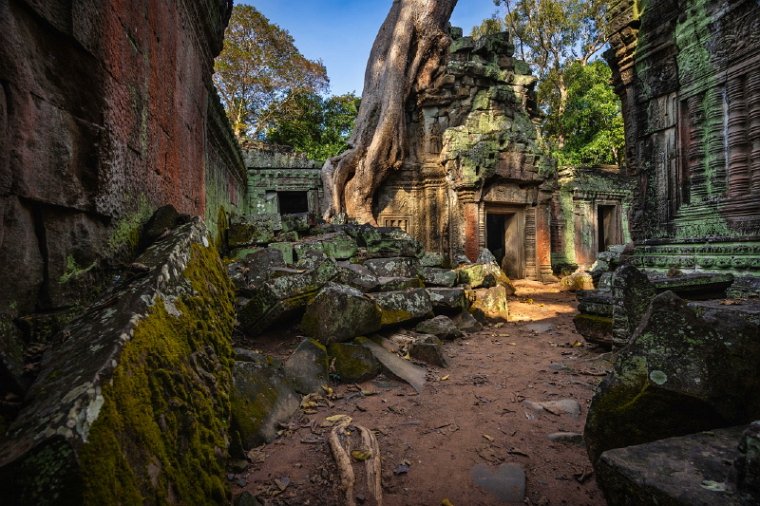 053 Cambodja, Siem Reap, Ta Prohm.jpg